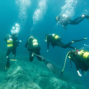 Teambuilding plongée