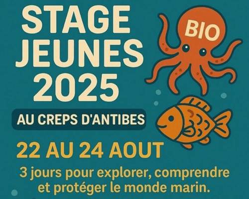 stage plongée creps antibes